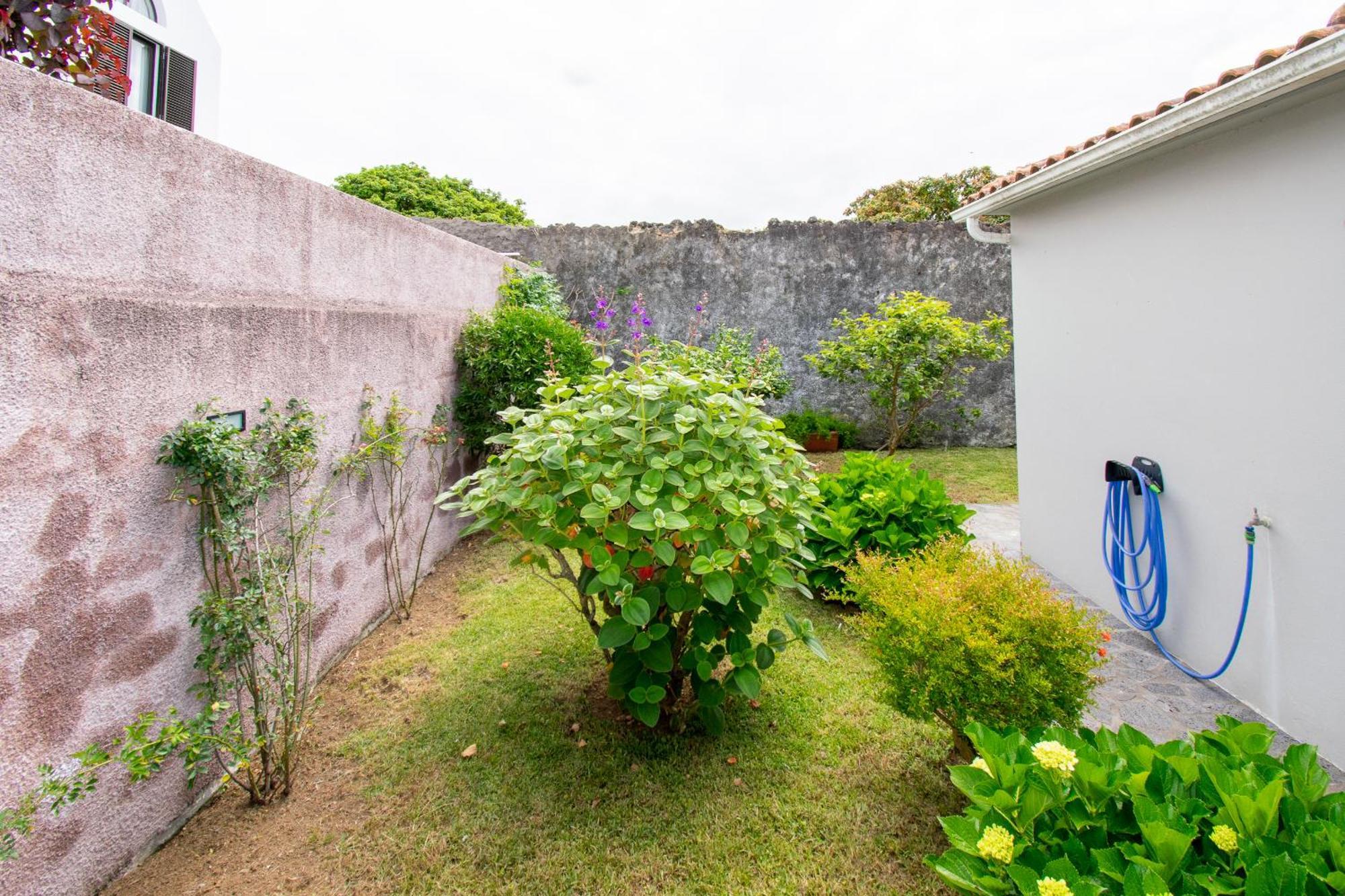 Atlantic Sao Paulo - Nature In The City Ponta Delgada  Exterior photo